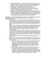 Konspekts 'Anatomijas eksāmena konspekts', 17.