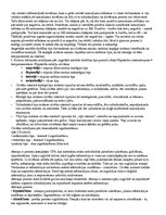 Konspekts 'Anatomijas eksāmena konspekts', 34.