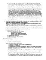 Konspekts 'Anatomijas eksāmena konspekts', 61.