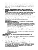 Konspekts 'Anatomijas eksāmena konspekts', 63.