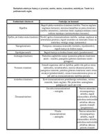 Konspekts 'Anatomijas eksāmena konspekts', 73.