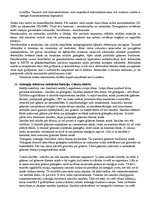 Konspekts 'Anatomijas eksāmena konspekts', 78.