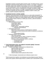 Konspekts 'Anatomijas eksāmena konspekts', 79.