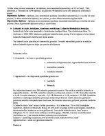 Konspekts 'Anatomijas eksāmena konspekts', 87.