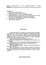 Prakses atskaite 'Kvalifikācijas prakses atskaite miltu konditorejas izstrādājumu gatavošanā', 14.