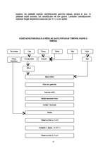 Prakses atskaite 'Kvalifikācijas prakses atskaite miltu konditorejas izstrādājumu gatavošanā', 21.