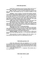 Prakses atskaite 'Kvalifikācijas prakses atskaite miltu konditorejas izstrādājumu gatavošanā', 24.