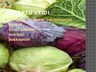 Prezentācija 'Kāposti', 4.
