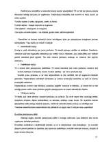 Referāts 'Lauku tūrisma produktu raksturojums Madonas rajonā, to mārketings', 10.