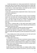 Referāts 'Lauku tūrisma produktu raksturojums Madonas rajonā, to mārketings', 11.