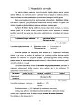 Prakses atskaite 'SIA „Hotel Jūrmala SPA”', 15.