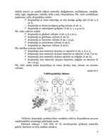 Referāts 'Akmens materiālu pārstrādes mašīnas', 9.