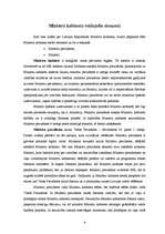 Referāts 'Administratīvo tiesību subjekts - Ministru kabinets', 6.