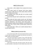 Referāts 'Administratīvo tiesību subjekts - Ministru kabinets', 16.