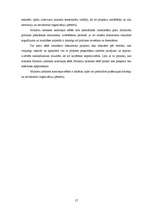 Referāts 'Administratīvo tiesību subjekts - Ministru kabinets', 17.