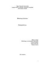 Eseja 'Datorpirātisms', 1.