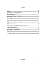 Eseja 'Datorpirātisms', 2.