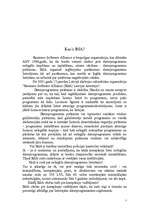 Eseja 'Datorpirātisms', 7.