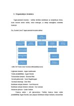 Konspekts 'Organizācijas SIA "Puratos Latvia" menedžmenta vispārējā analīze', 3.
