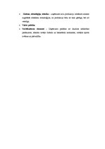 Konspekts 'Organizācijas SIA "Puratos Latvia" menedžmenta vispārējā analīze', 8.