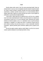 Referāts 'Transporta uzņēmuma vieta ārējās tirdzniecības loģistikā', 6.