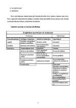 Referāts 'Transporta uzņēmuma vieta ārējās tirdzniecības loģistikā', 11.