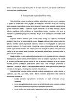 Referāts 'Transporta uzņēmuma vieta ārējās tirdzniecības loģistikā', 16.