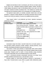 Referāts 'Transporta uzņēmuma vieta ārējās tirdzniecības loģistikā', 20.