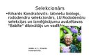 Prezentācija 'Rododendri', 5.