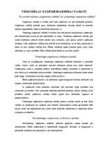 Referāts 'Veiksmīgas uzņēmējdarbības pamati', 3.