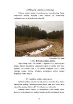 Diplomdarbs 'Mākslīgi atjaunotu un dabiski ieaugušu priežu sākotnējās augšanas novērtējums', 17.