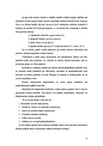 Diplomdarbs 'Personifikācija, metafora un epitets kā portugāļu un latviešu kultūras atspoguļo', 23.