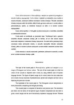 Diplomdarbs 'Personifikācija, metafora un epitets kā portugāļu un latviešu kultūras atspoguļo', 50.