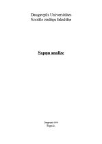 Eseja 'Sapņu analīze', 1.