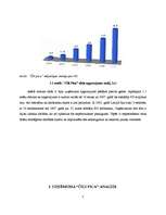 Referāts 'Stratēģiskā vadīšana "Čili Pica"', 5.