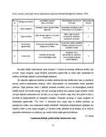 Referāts 'Stratēģiskā vadīšana "Čili Pica"', 11.