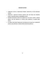 Referāts 'Stratēģiskā vadīšana "Čili Pica"', 19.