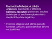 Prezentācija 'Iekšējā sekrēcija', 6.