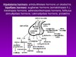Prezentācija 'Iekšējā sekrēcija', 12.
