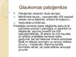 Prezentācija 'Glaukoma', 6.