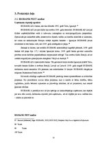 Diplomdarbs 'Interneta iespējas banku sektora mārketingā', 33.