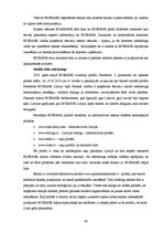 Diplomdarbs 'Interneta iespējas banku sektora mārketingā', 40.