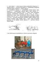 Referāts 'Ziemāju audzēšanas mehanizācijas darbu tehnoloģija un pielietojamās mašīnas', 10.