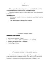 Biznesa plāns 'Vasaras sporta klubs "Trakums"', 3.