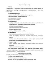 Biznesa plāns 'Vasaras sporta klubs "Trakums"', 4.