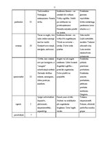 Biznesa plāns 'Vasaras sporta klubs "Trakums"', 11.