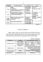 Biznesa plāns 'Vasaras sporta klubs "Trakums"', 13.