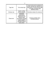 Biznesa plāns 'Vasaras sporta klubs "Trakums"', 14.