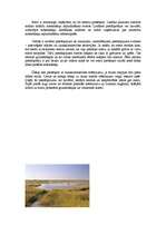 Referāts 'Ezeri', 19.