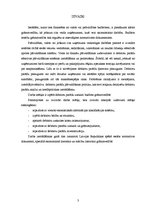 Referāts 'Debitoru parādu uzskaite budžeta grāmatvedībā', 3.